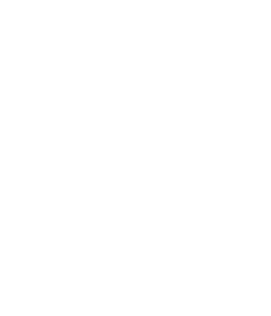 logo tt